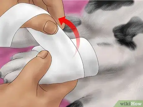 Image titled Splint a Dog's Leg Step 12