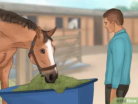 Image titled Give Your Horse the Right Supplements Step 6