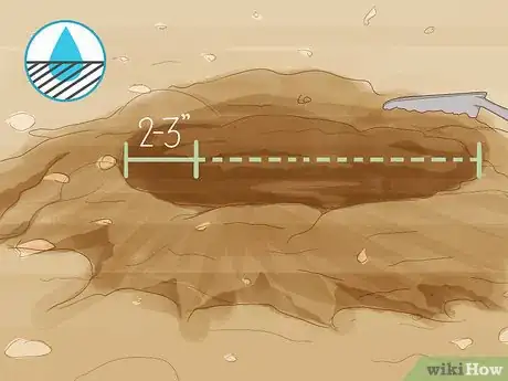 Image titled Divide Overgrown Perennials Step 11