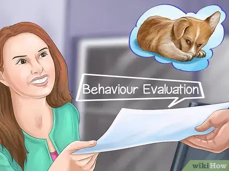 Image titled Adopt Out a Shy Dog Step 3