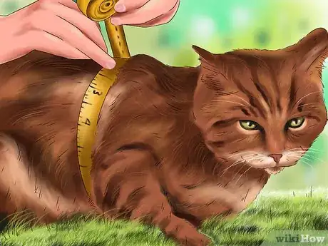 Image titled Give Your Cat Cozy Sleeping Spaces Step 1