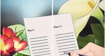 Test Insect Responses to Color