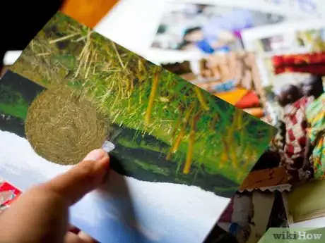 Image titled Make a Personal Collage Step 5