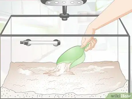 Image titled Keep German Blue Ram Cichlids Step 8