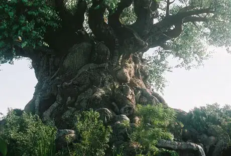 Image titled Tree of Life 1