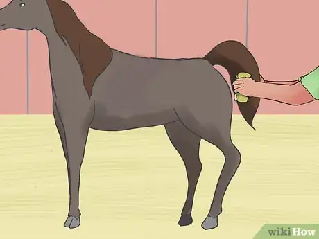 Image titled Care for an Arabian Horse Step 13