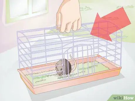 Image titled Clean a Small Pet Cage Step 3