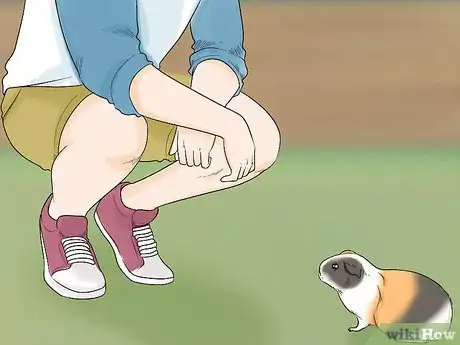 Image titled Avoid Scaring Your Guinea Pig Step 2
