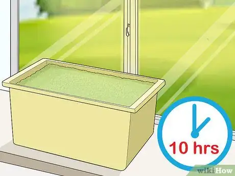 Image titled Grow Duckweed Step 4