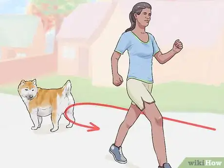 Image titled Get Your Dog to Follow You Step 3