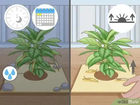 Image titled Does Vinegar Work for Slug Control Step 3