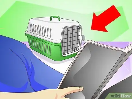 Image titled Discipline a New Puppy Step 14