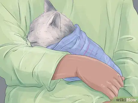 Image titled Capture an Angry or Upset Cat Step 8