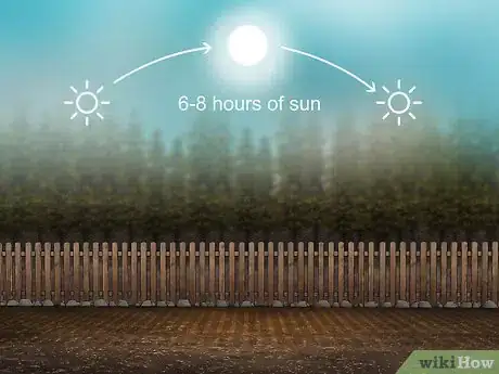 Image titled Plant Liatris Step 7