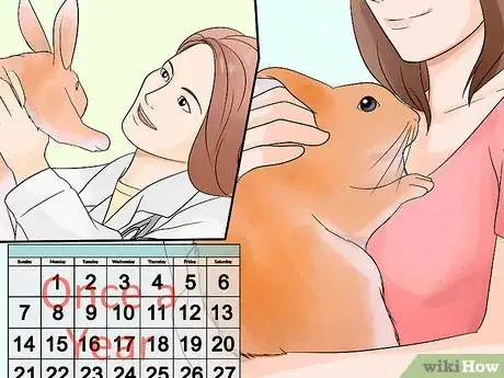 Image titled Care for Palomino Rabbits Step 14