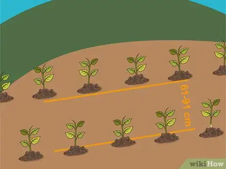 Image titled Grow Hot Peppers Step 13