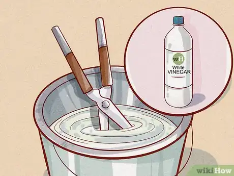 Image titled Care for Lawn Tools Step 3