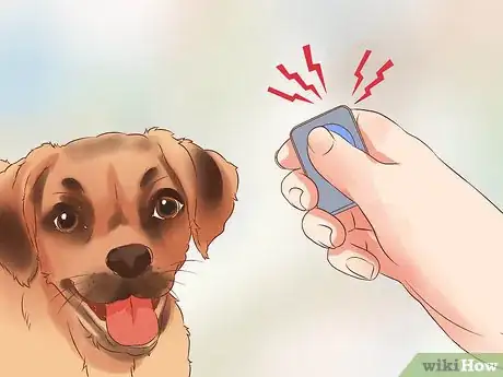 Image titled Train Puggles Step 4