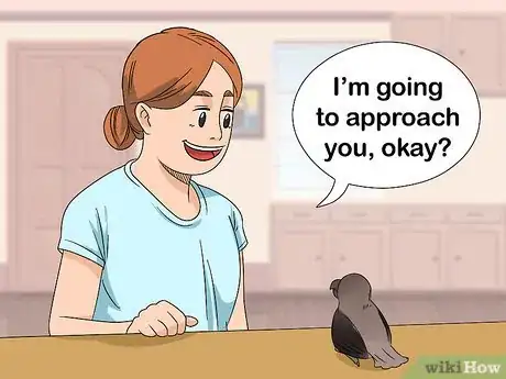 Image titled Handle a Scared Red Bellied Parrot Step 5