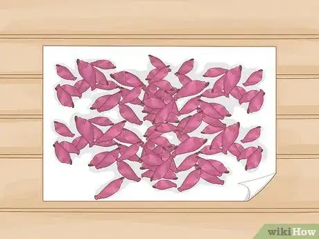 Image titled Grow a Cactus Step 2