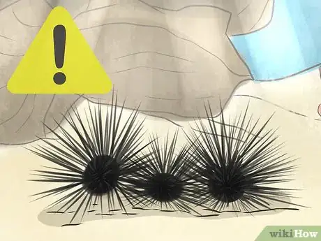 Image titled Identify Dangerous Marine Animals in Australian Waters Step 11