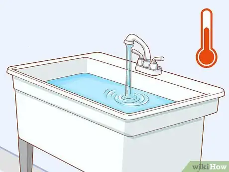 Image titled Groom a Yorkie Pomeranian Mix Step 6