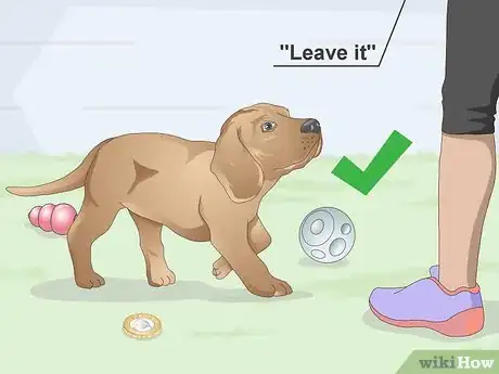 Image titled Teach a Dog to Leave It Step 17