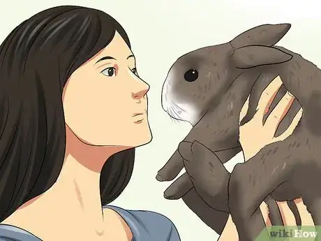 Image titled Adopt a Rabbit from a Shelter Step 7