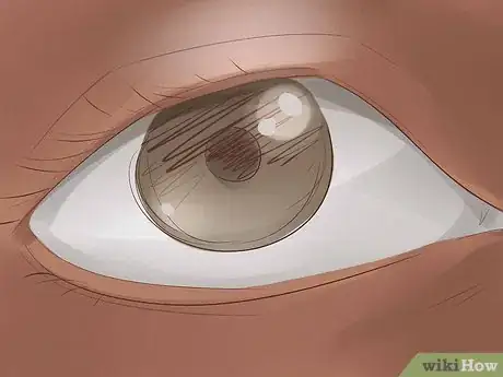 Image titled Become a State Police Officer Step 4