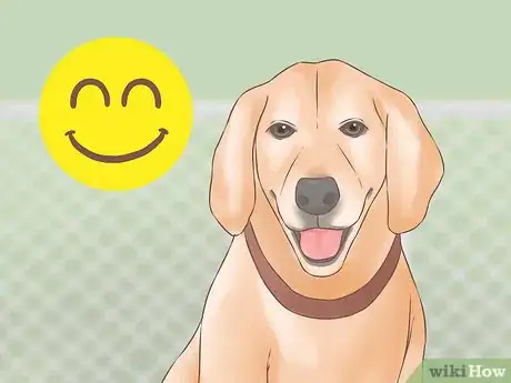 Image titled Choose a Second Dog Step 7
