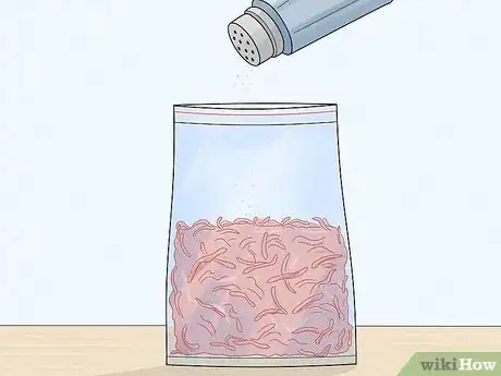 Image titled Grow Blood Worms Step 13