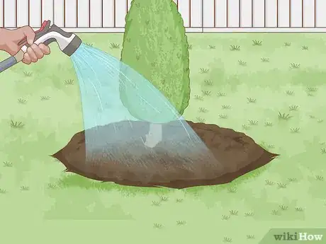 Image titled Plant a Shrub Step 9