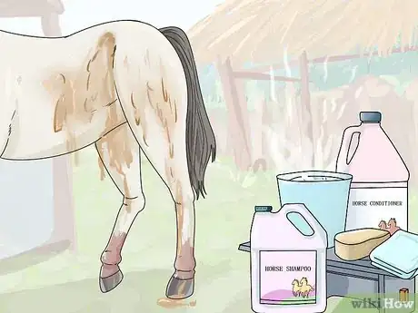 Image titled Clean a Horse Step 7