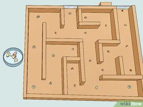 Image titled Train a Rat to Run a Maze or Obstacle Course Step 4