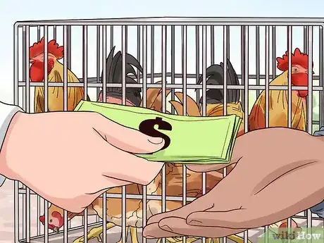 Image titled Rehome Your Chickens Step 3