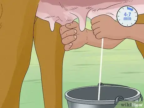 Image titled Increase Dairy Milk Production Step 11