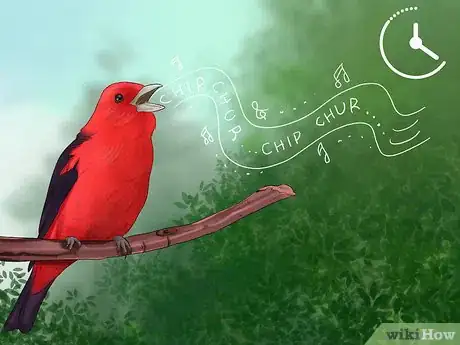 Image titled Identify a Scarlet Tanager Step 8
