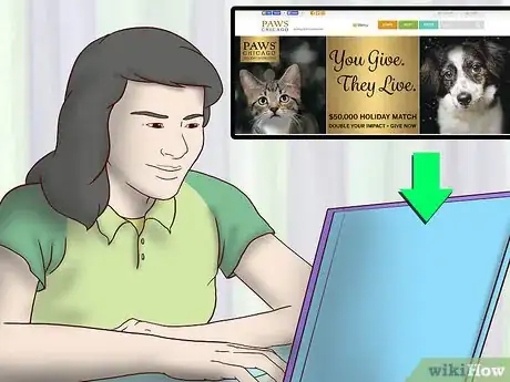 Image titled Adopt a Fostered Dog Step 4