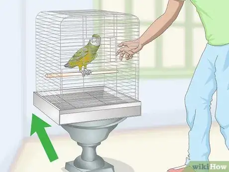 Image titled Deal with a Fearful or Stressed Senegal Parrot Step 4
