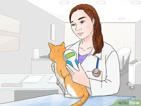 Image titled Identify and Help Feral and Stray Cats Step 12