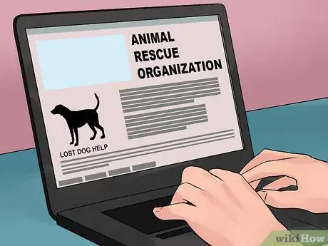 Image titled Catch a Runaway Dog Step 17