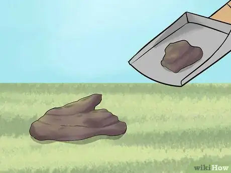 Image titled Maintain Horse Paddocks Step 3