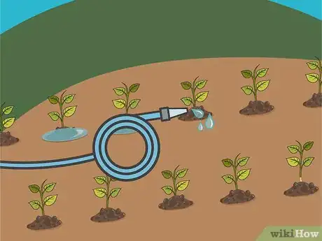 Image titled Grow Hot Peppers Step 14