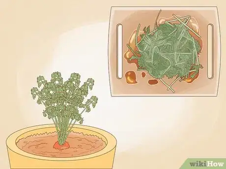 Image titled Regrow Vegetables Step 10