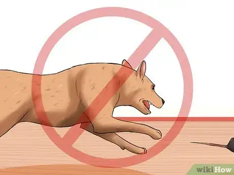 Image titled Treat Ascarids in Dogs Step 13