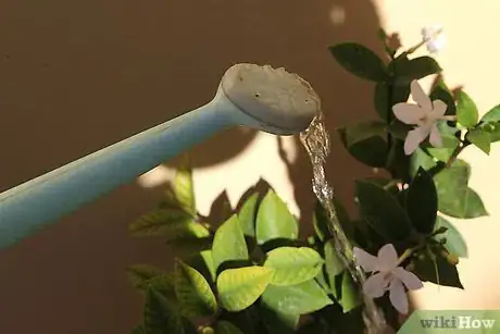 Image titled Care for Flowers Step 25