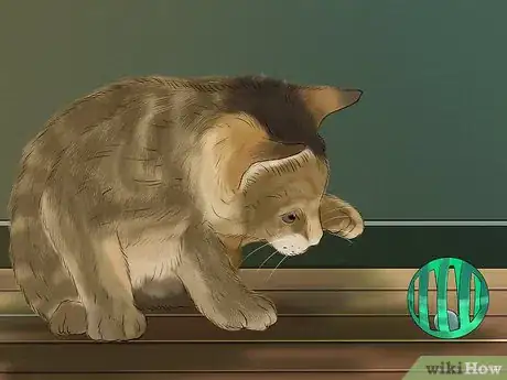 Image titled Prevent an Energetic Kitten from Hurting Itself Step 6