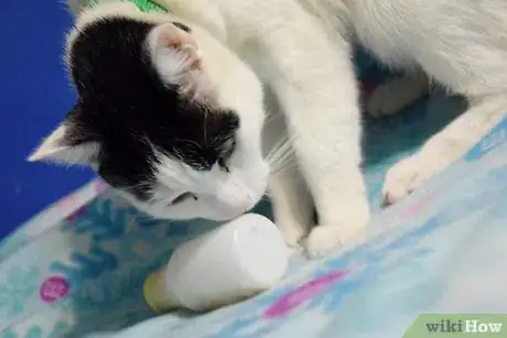 Image titled Make Kitten Toys Step 18