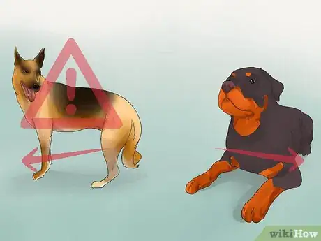 Image titled Prevent Canine Leptospirosis Step 4