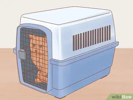 Image titled Introduce a Cat That Used to Belong to Someone Else to Your Home Step 7